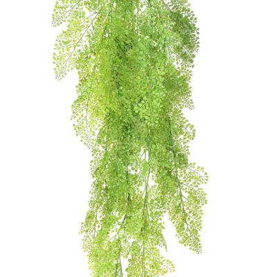 asparagus round fall scaled