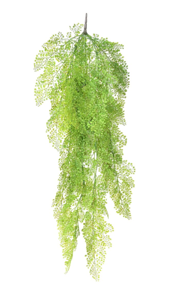 asparagus round fall scaled