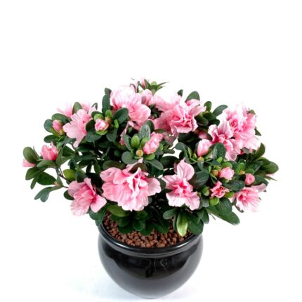 Künstliche Azalee, ca 35cm, pink