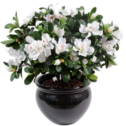 Künstliche Azalee, ca 35cm, weiss