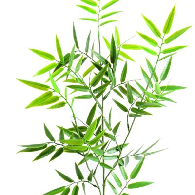 bamboo japanese plast uv spray