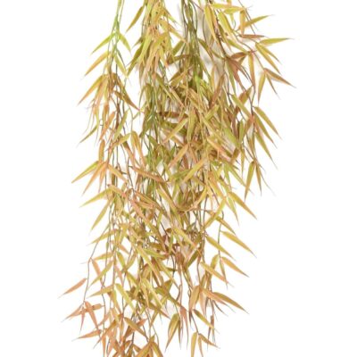 bamboo mini hanging bush 1 scaled