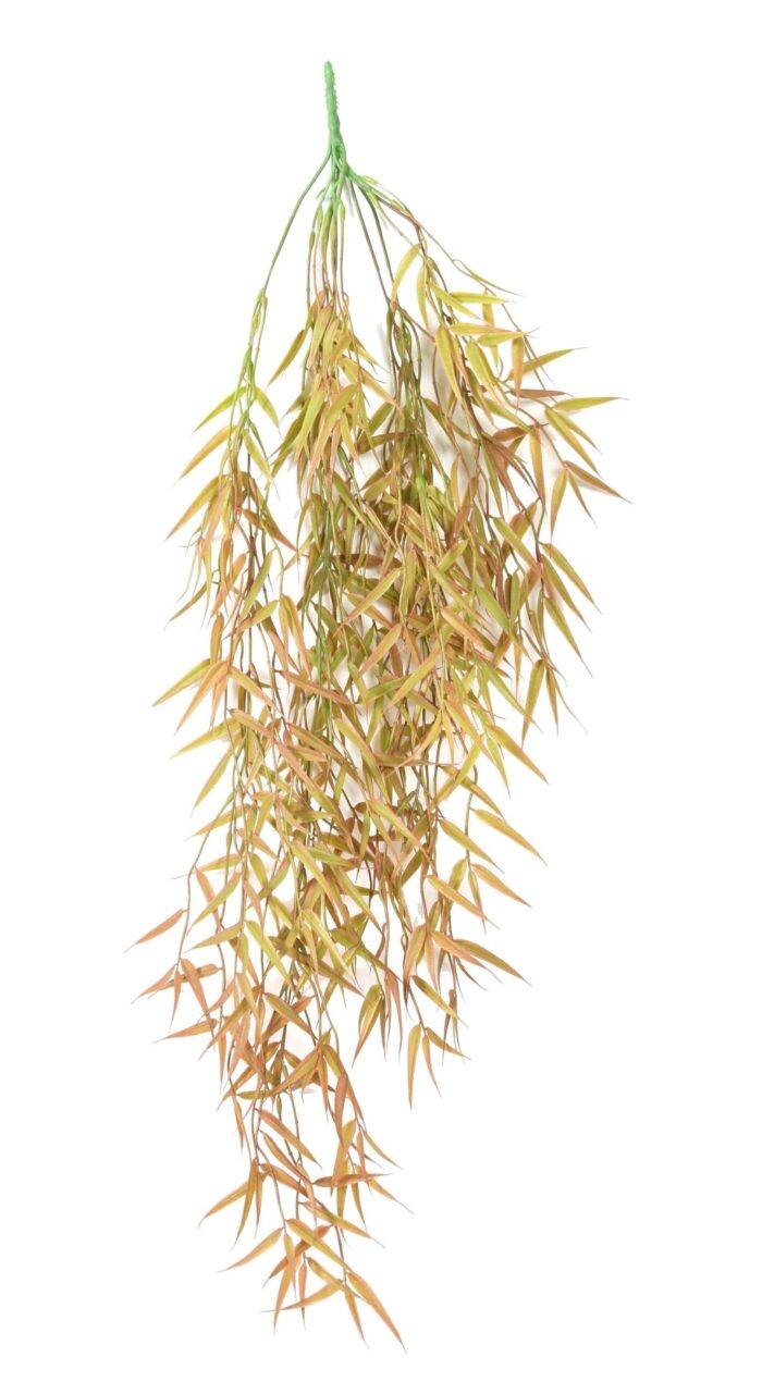 bamboo mini hanging bush 1 scaled