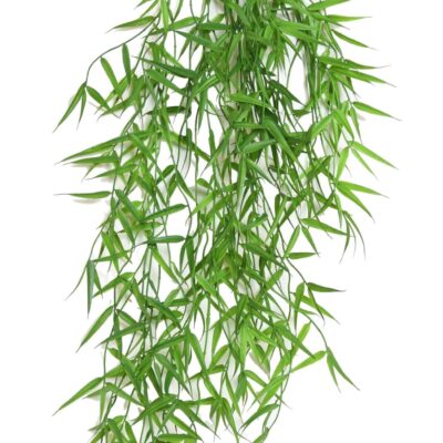 bamboo mini hanging bush scaled