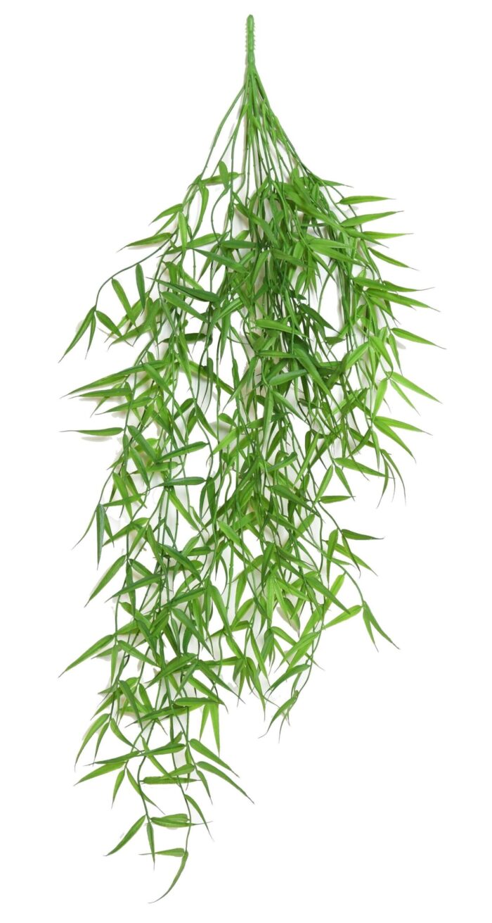 bamboo mini hanging bush scaled