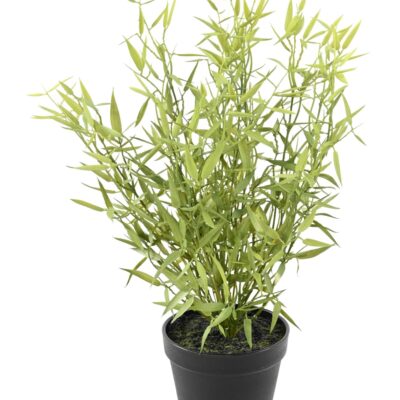 bamboo mini pot 45 scaled