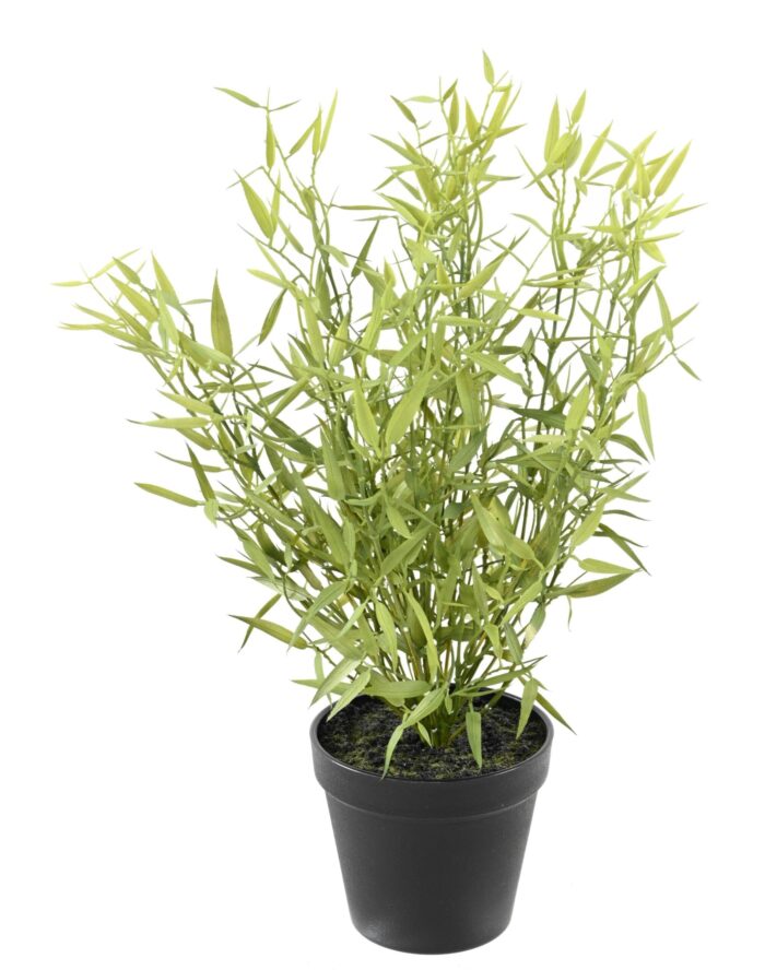 bamboo mini pot 45 scaled