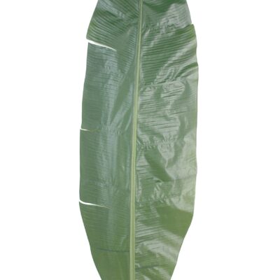 banana leaf 1 scaled