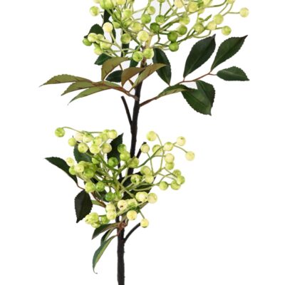 berries spray 85 scaled