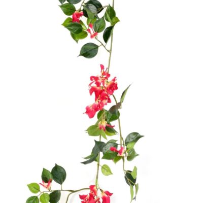 bougainvillea garland fr fire resistant scaled