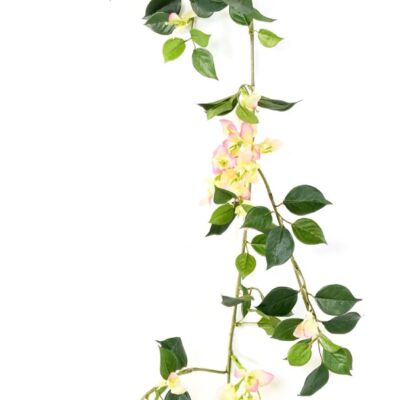 bougainvillee garland scaled