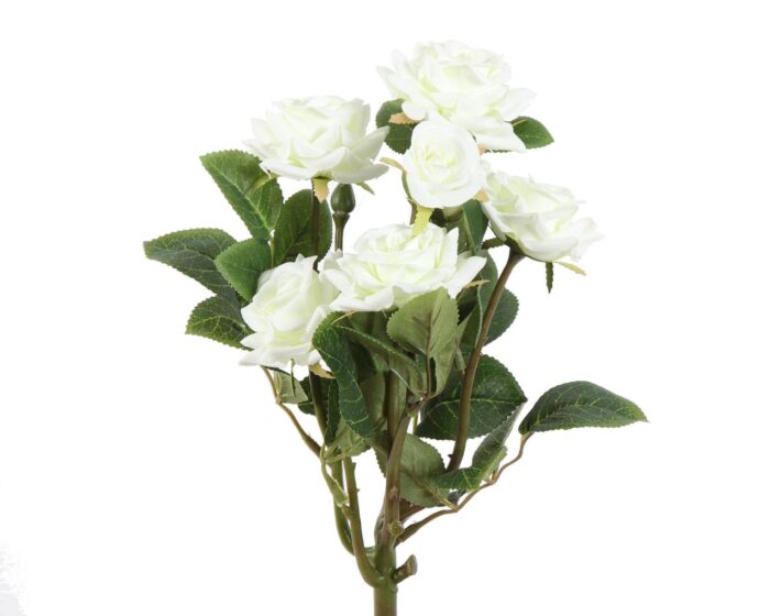 bouquet of roses