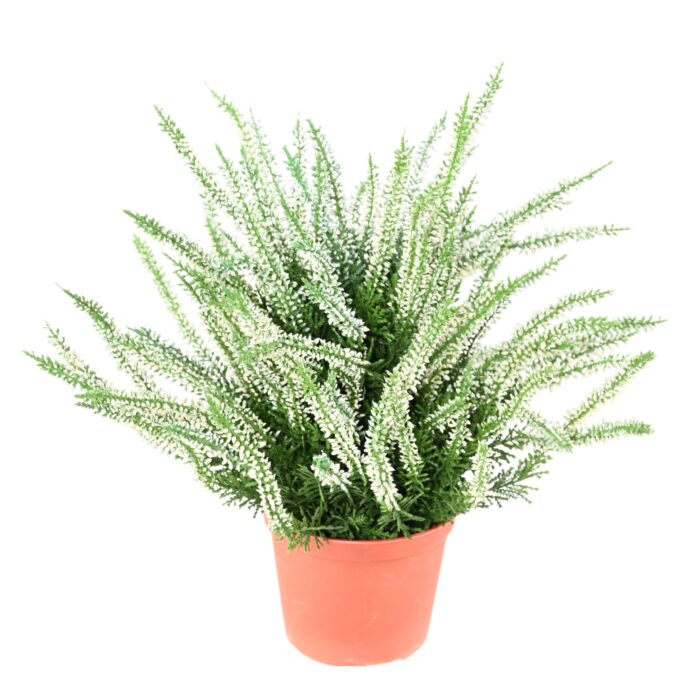 bruyere large pot 1 scaled