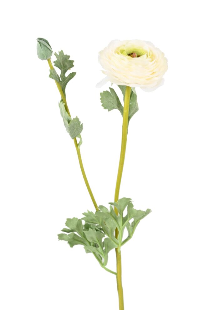 buttercup 68 4 scaled