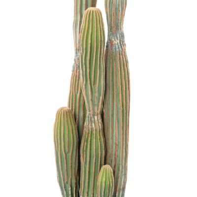 cactus finger x 1 scaled