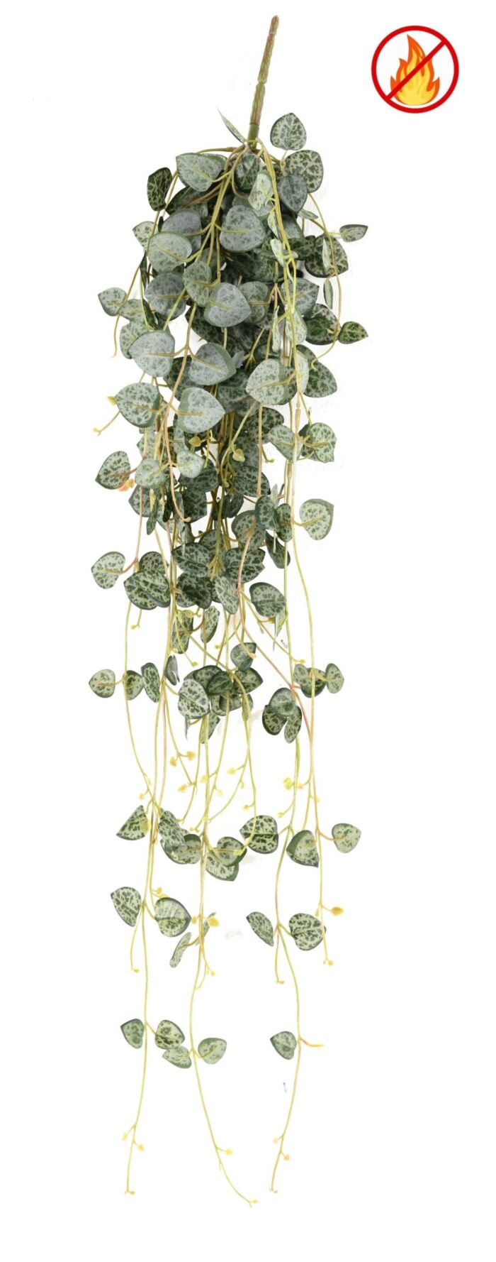 ceropegia 70 fr fire resistant scaled