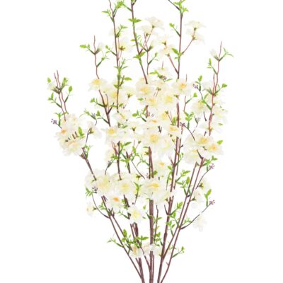 cherry blossom 2 scaled