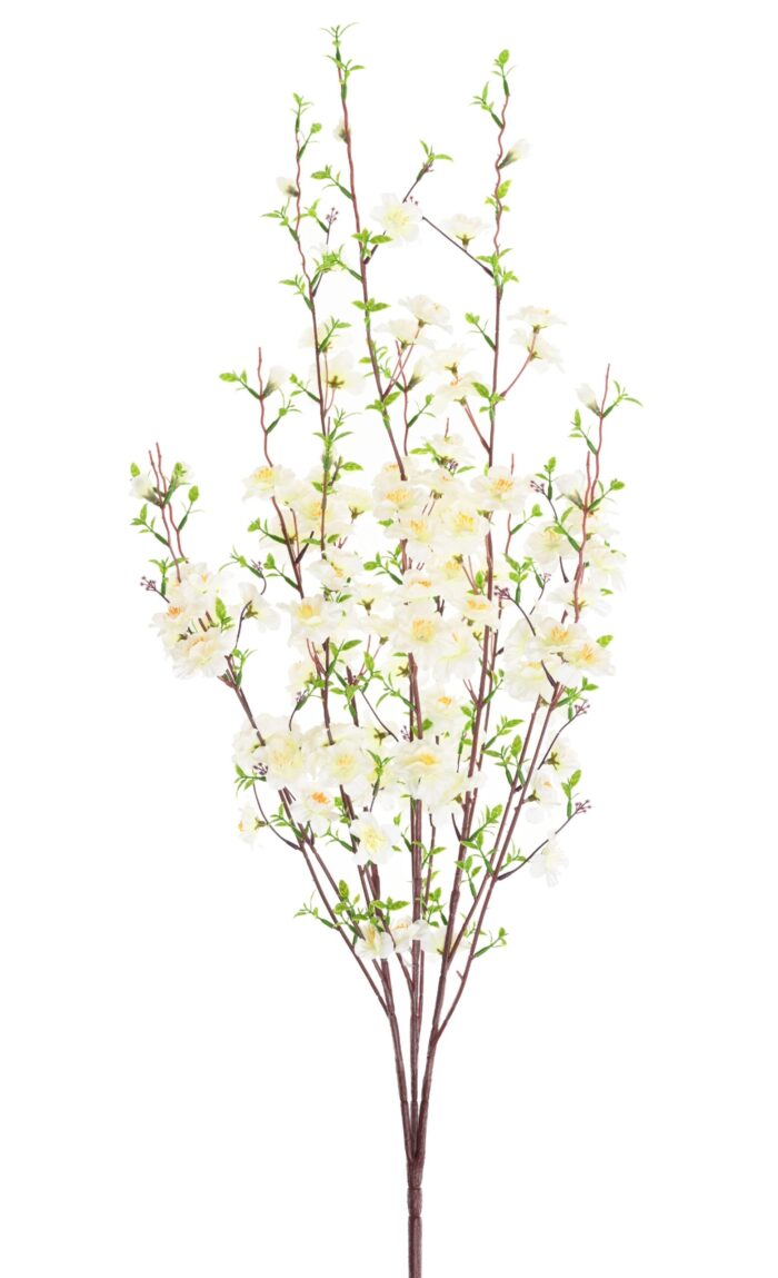 cherry blossom 2 scaled