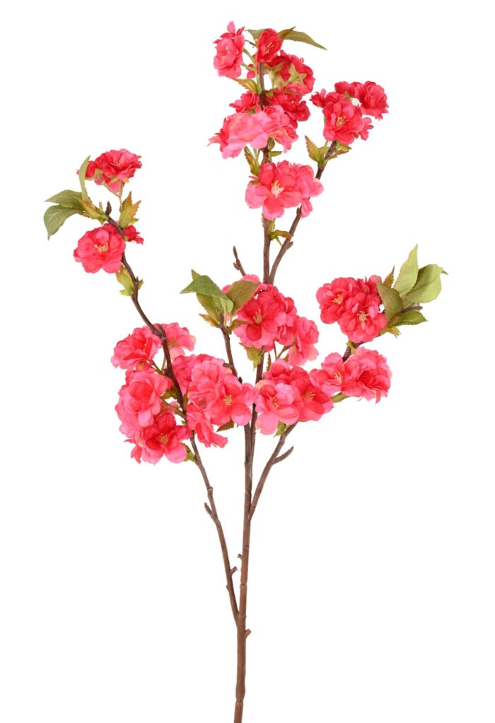 cherry blossom 92 2 scaled