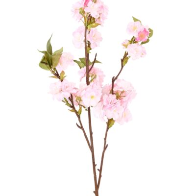 cherry blossom 92 3 scaled