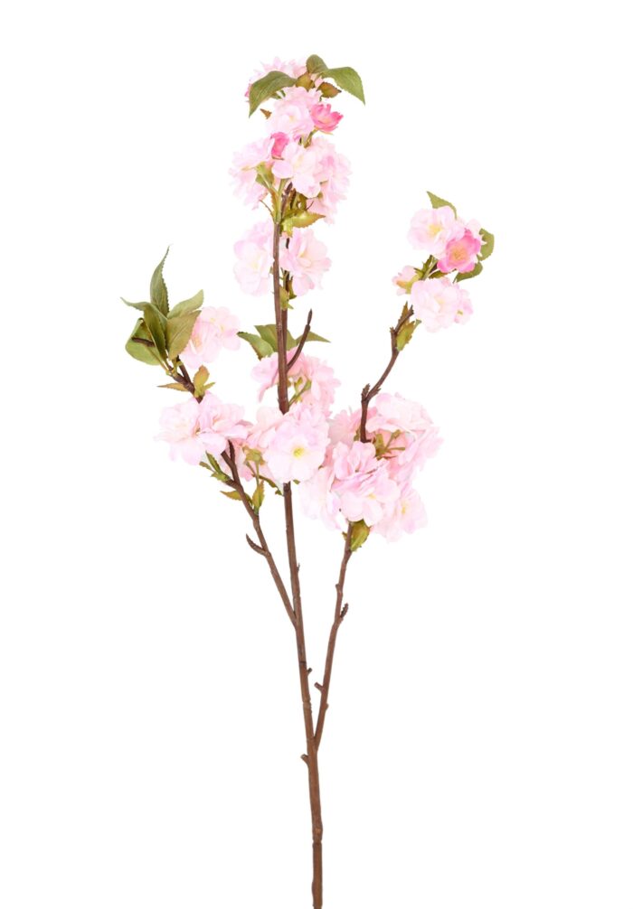 cherry blossom 92 3 scaled
