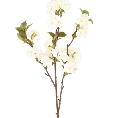 cherry blossom 92 scaled