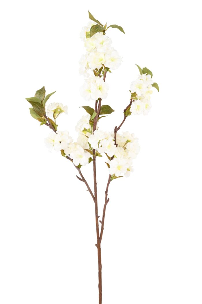 cherry blossom 92 scaled