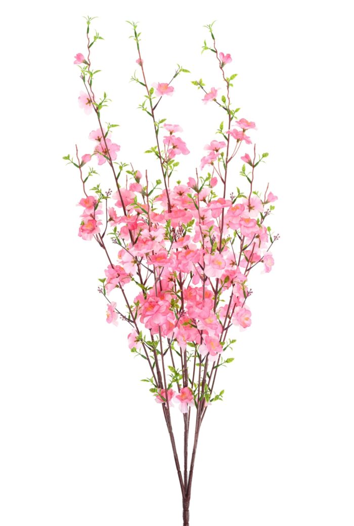 cherry blossom scaled
