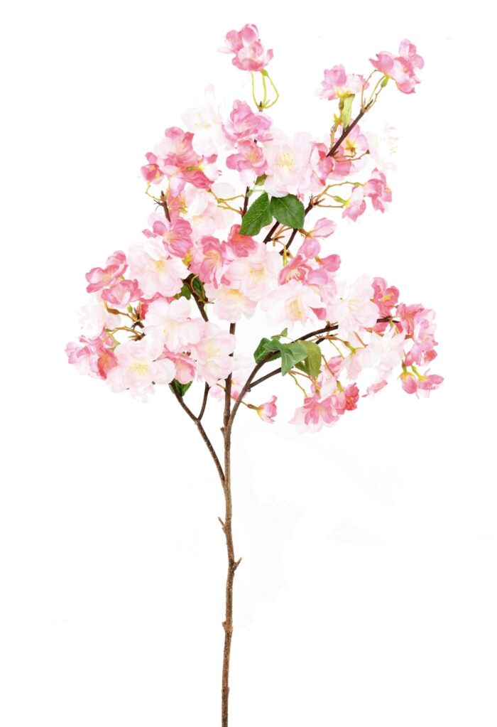 cherry blossom spray 105 1 scaled