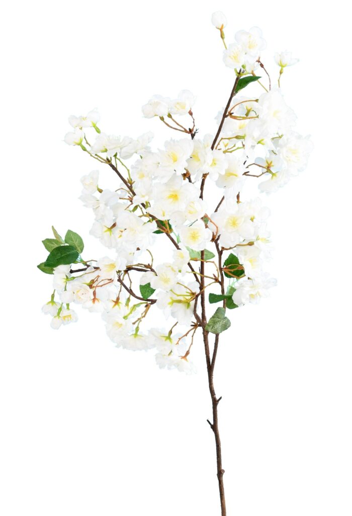 cherry blossom spray 105 scaled