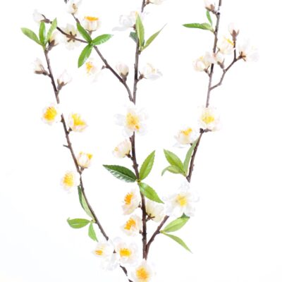 cherry blossom spray42 1