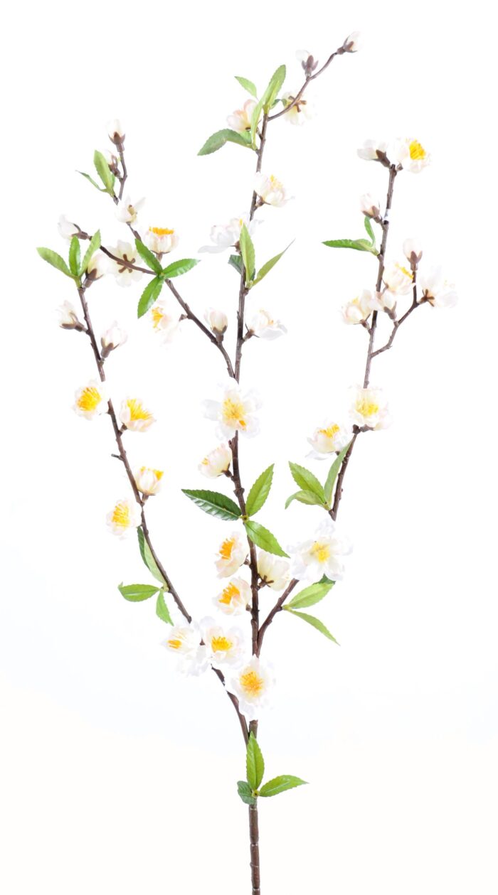 cherry blossom spray42 1