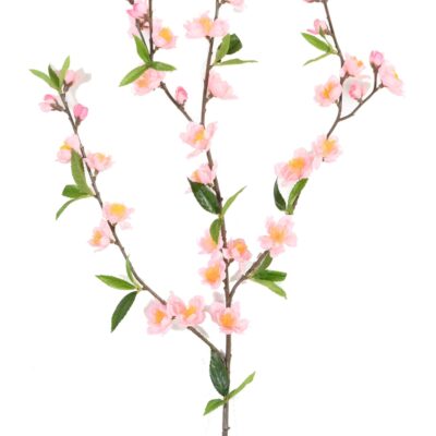 cherry blossom spray42 scaled