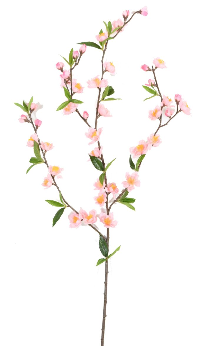 cherry blossom spray42 scaled