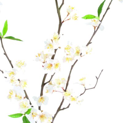 cherry spray new 76 fl 1