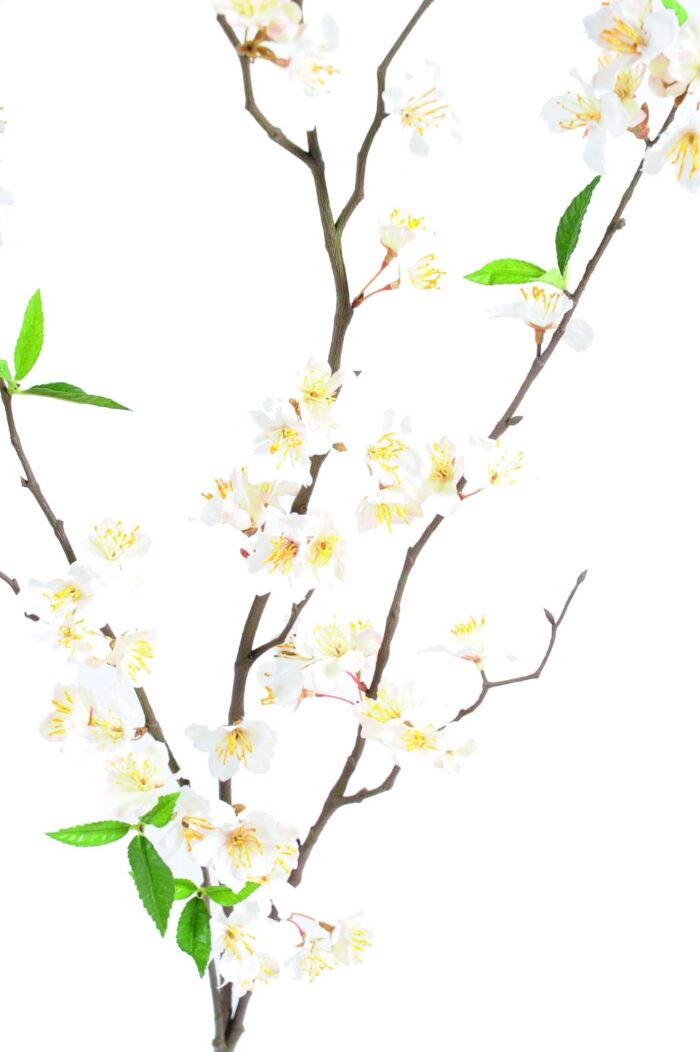 cherry spray new 76 fl 1