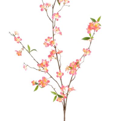 cherry spray new 76 fl 2