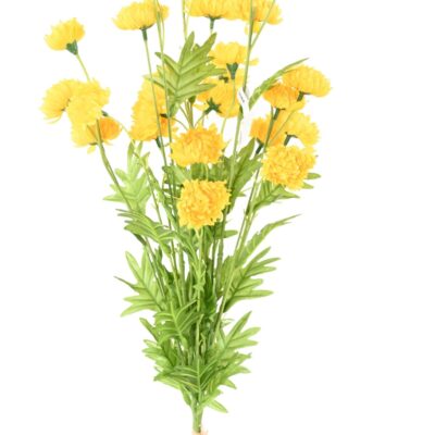 chrysantheme all scaled