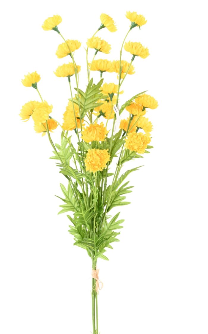 chrysantheme all scaled