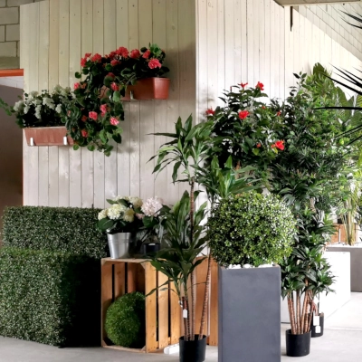 decoplants kunstpflanzen