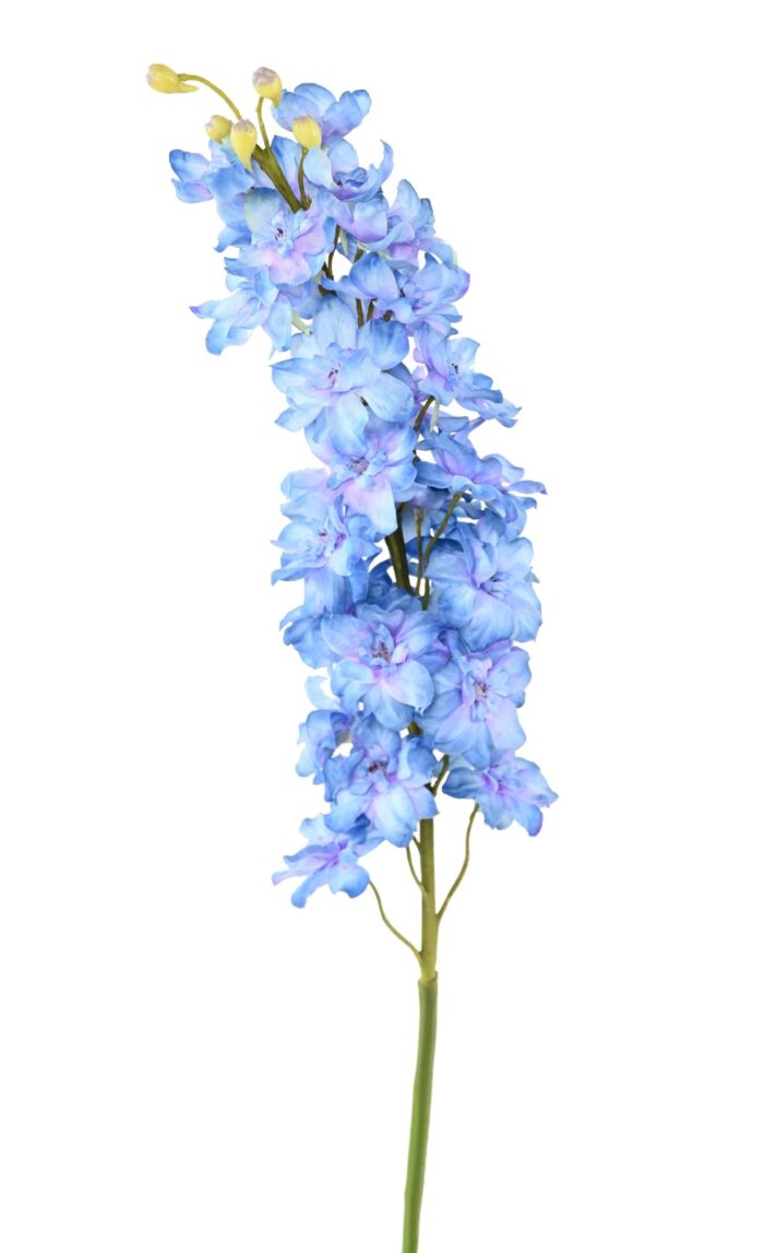 delphinium 2 scaled
