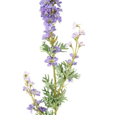 delphinium 86 1 scaled