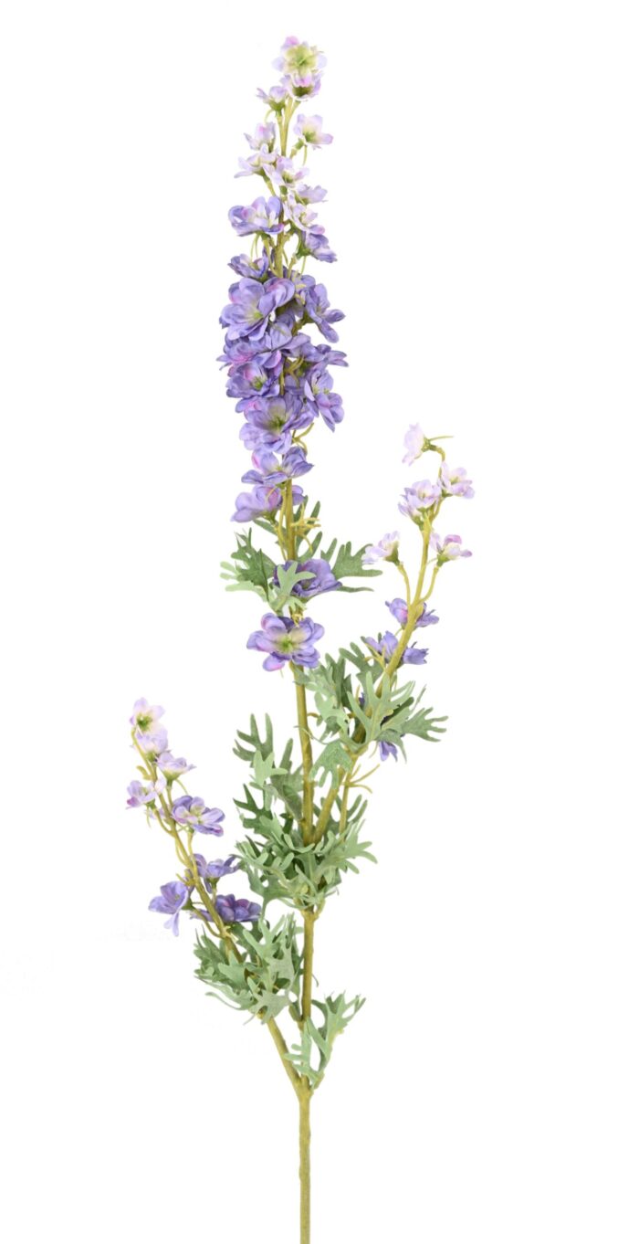 delphinium 86 1 scaled