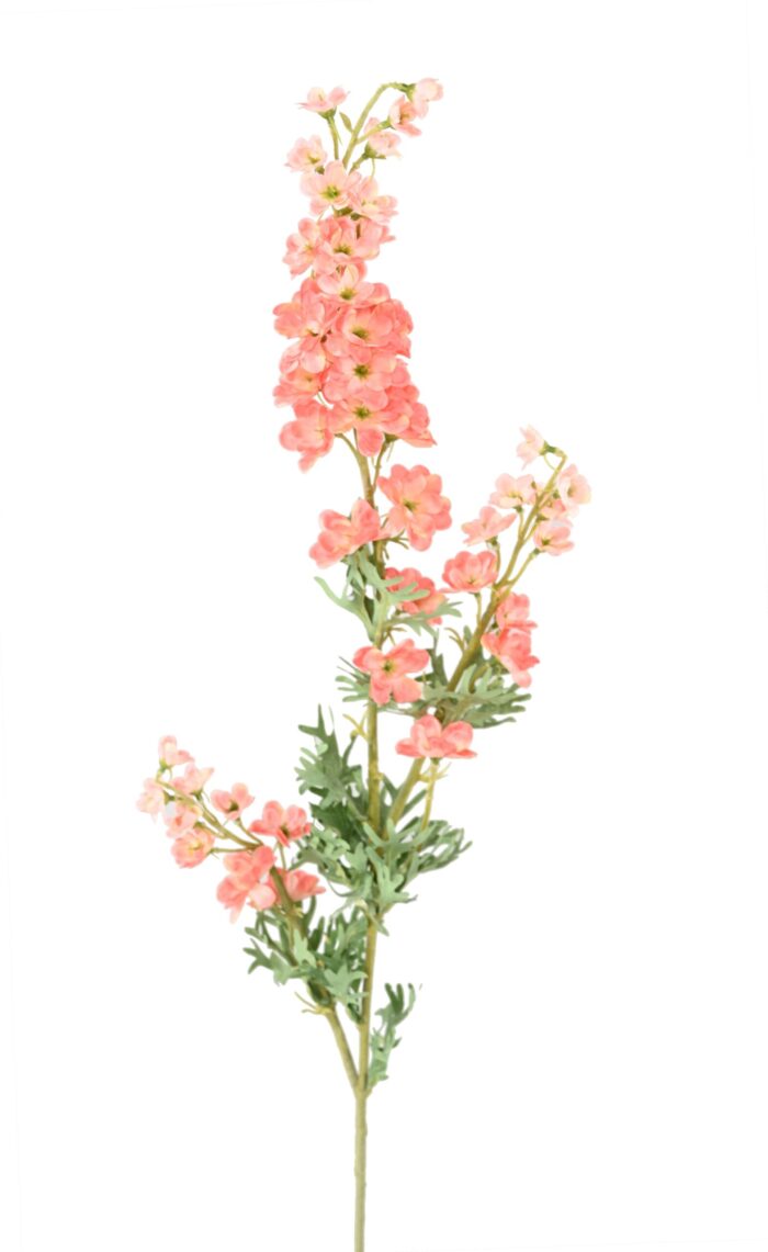 delphinium 86 2 scaled
