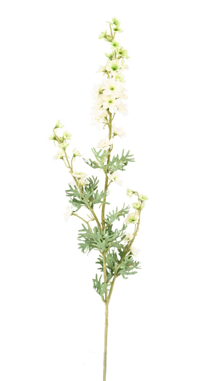 delphinium 86 scaled