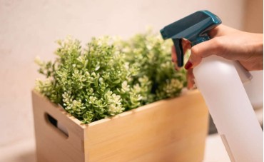 die pflege von kunstpflanzen tipps vom profi