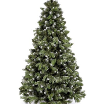 douglasie beschneit 240 1