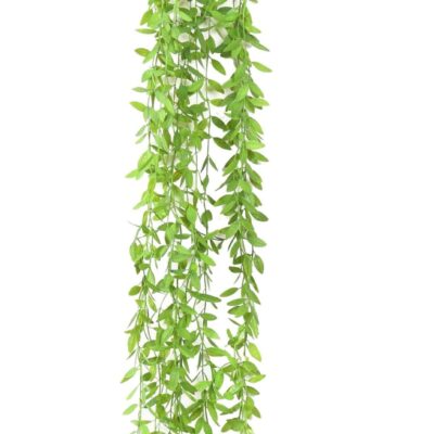 eucalyptus mini fall scaled