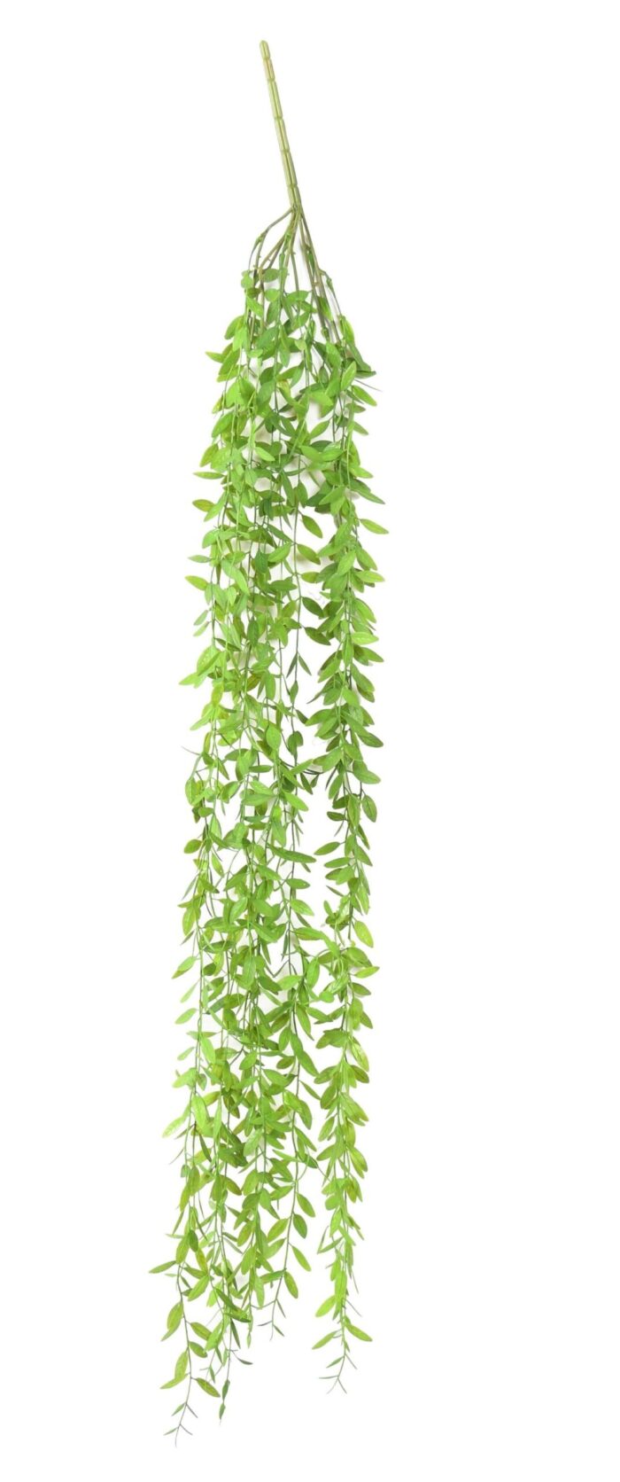 eucalyptus mini fall scaled