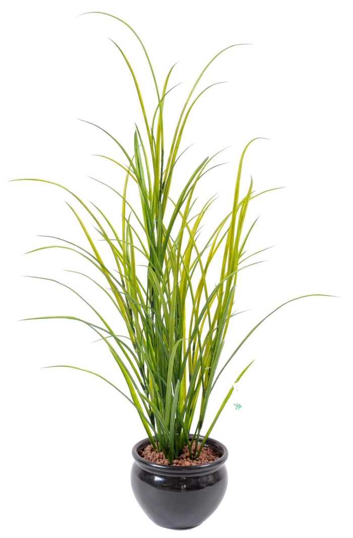 field grass plast